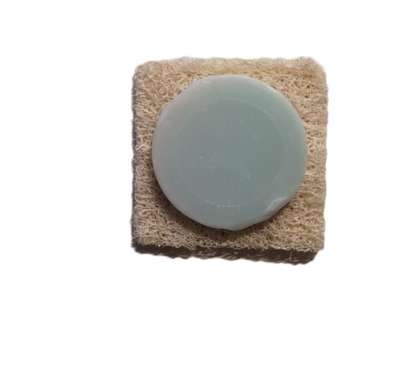 carrée de loofah avec un savon